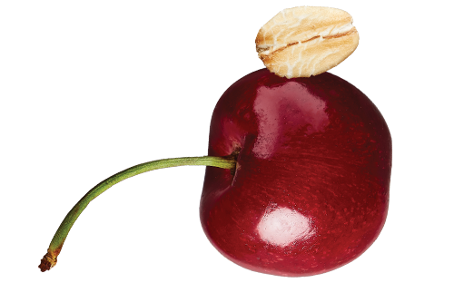 Accent Image