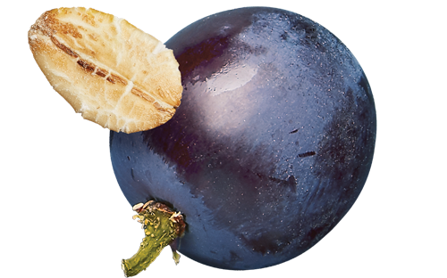 Accent Image
